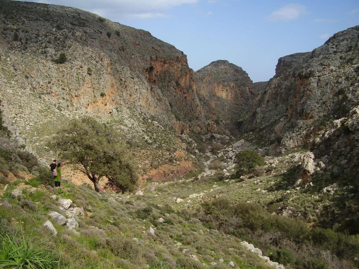 Carissa House In Crete Daire Sitia  Dış mekan fotoğraf