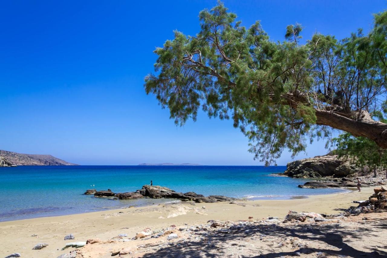 Carissa House In Crete Daire Sitia  Dış mekan fotoğraf