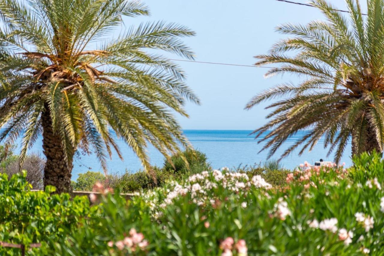 Carissa House In Crete Daire Sitia  Dış mekan fotoğraf