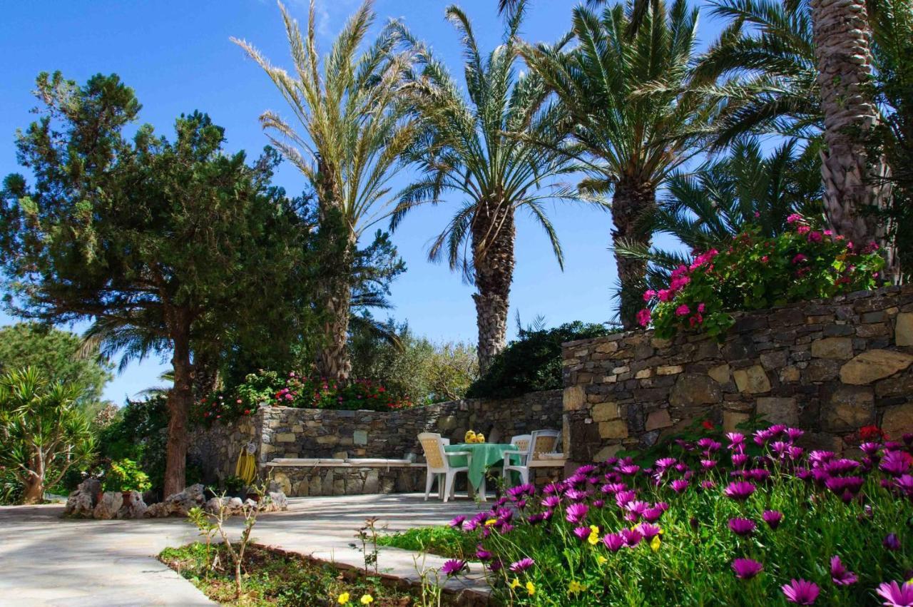 Carissa House In Crete Daire Sitia  Dış mekan fotoğraf