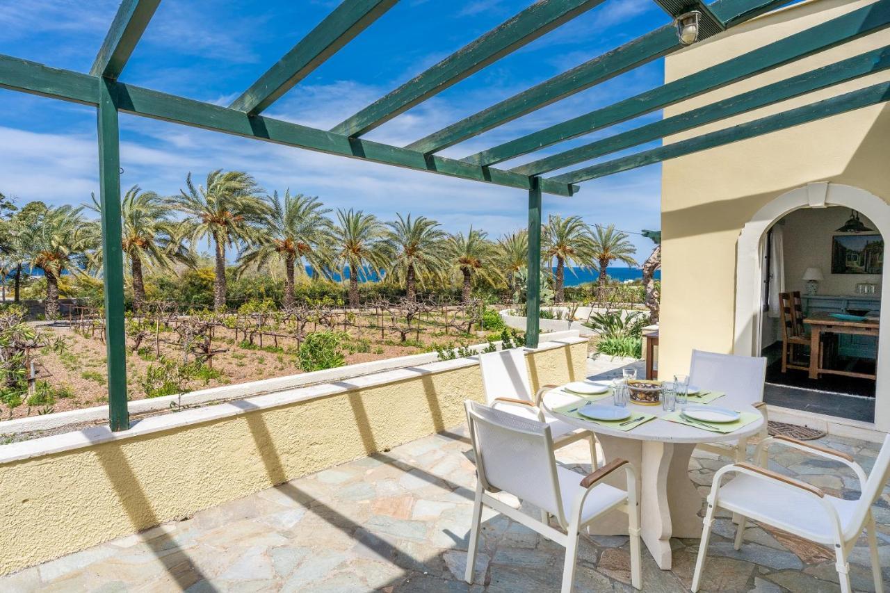 Carissa House In Crete Daire Sitia  Dış mekan fotoğraf